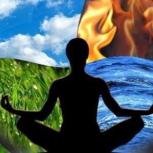 Meet your Posher, Wayway